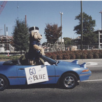 2001 parade and lion.png