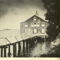 Louisa Venable Kyle Norfolk Photo 7