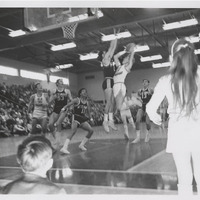 1970 game.png